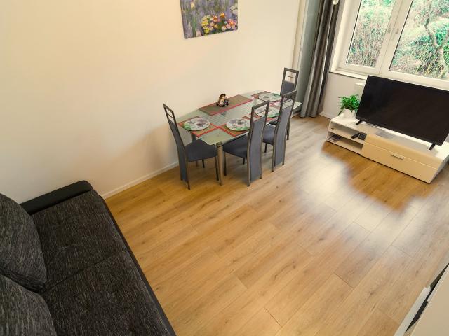 Spacious apartment near the center overlooking the garden