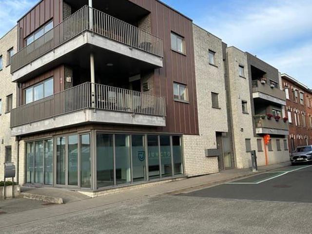Spacious apartment with park view
