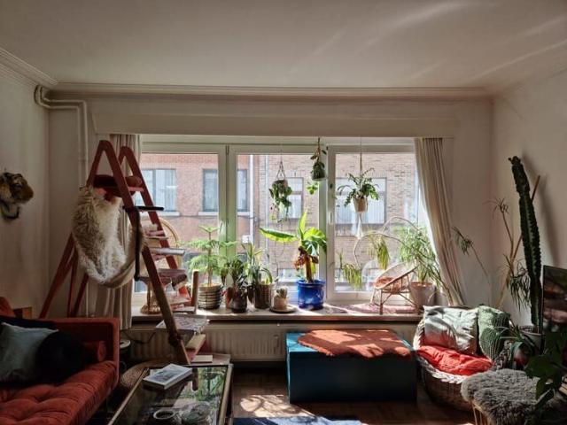 Spacious appartment full of light in centre of Mechelen