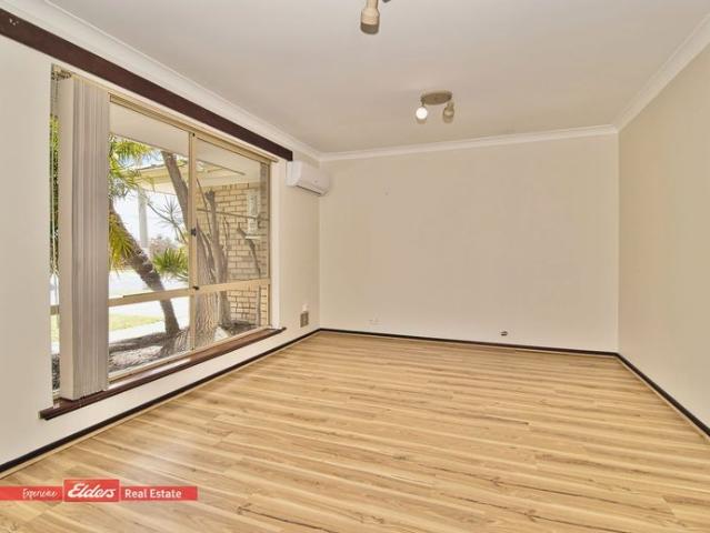 Spacious back yard for you and your family!