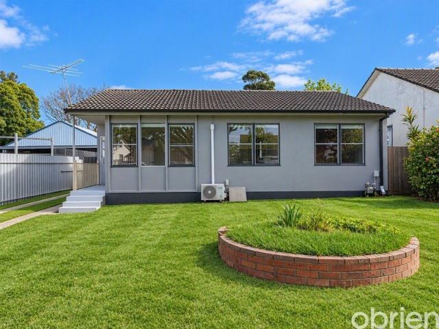 Spacious Backyard in Quiet Court Location