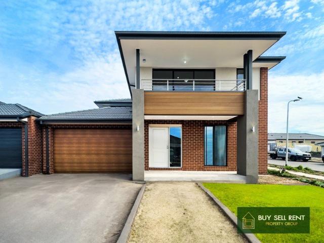 Spacious Brand New Home