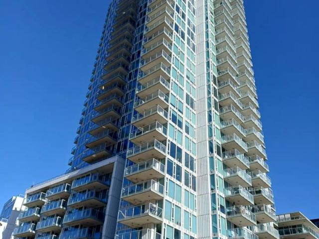 Spacious & bright 2 bdrm 2 bath NW corner unit with river & city skyline views. — 2 Bedrooms Condo Unit