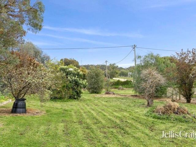 Spacious building allotment and shed in a tranquil semi rural setting