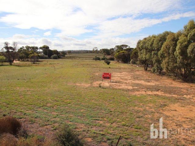 Spacious Building Allotment on Outskirts of Town