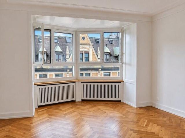 Spacious city apartment