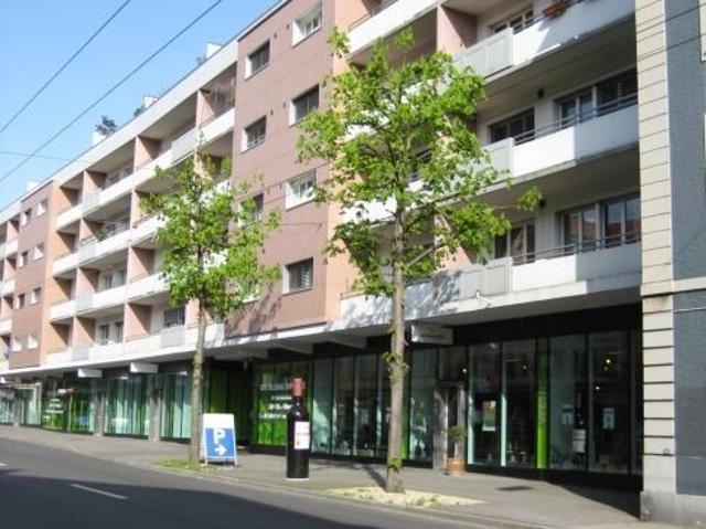 Spacious city apartment