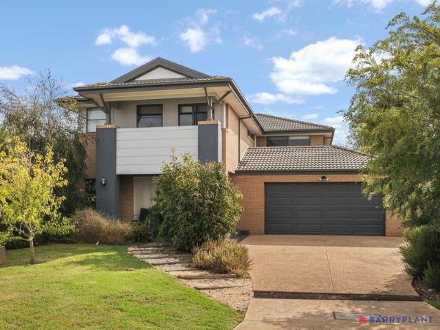 Spacious Coastal Living on a Rare 832m² Allotment