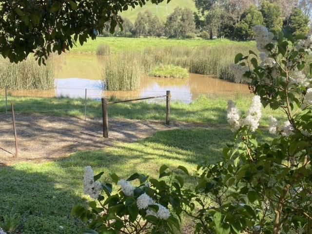 Spacious Country Living on a Working Cattle Farm