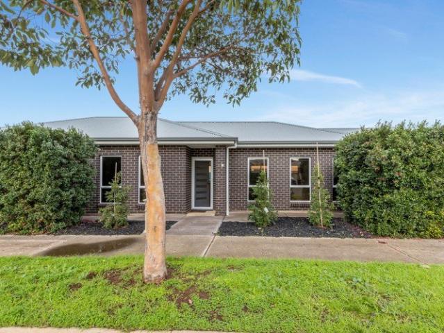Spacious Courtyard that allows Easy Care Living.