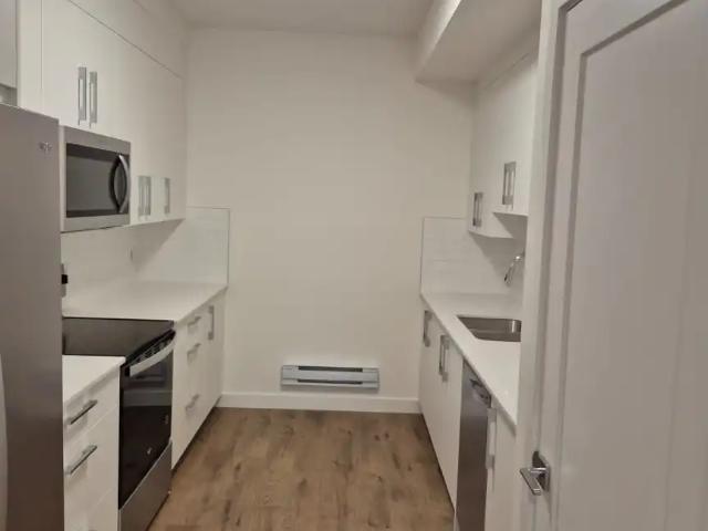 Spacious & Cozy 1 Bedroom Basement Suite for Rent