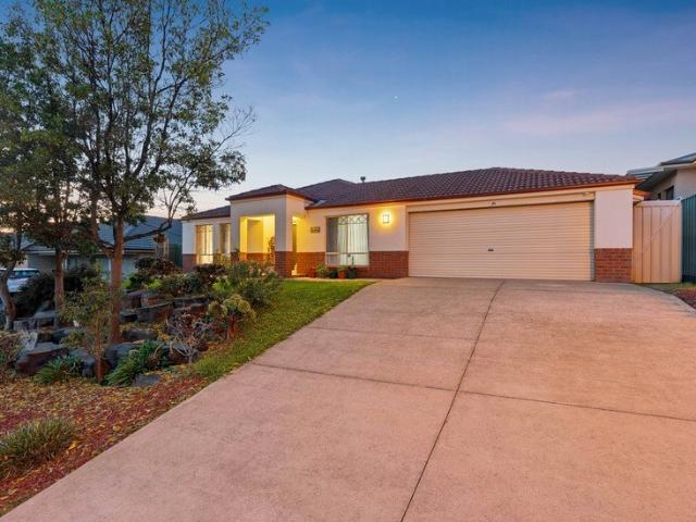 Spacious Elegance in Walkley Heights