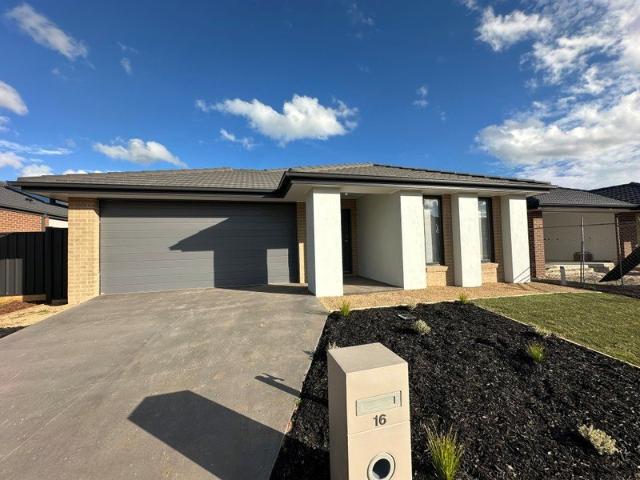 Spacious Family Home!