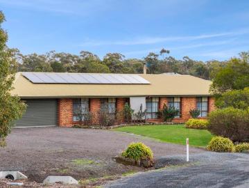 Spacious Family Home with Extra Living & Excellent Shedding