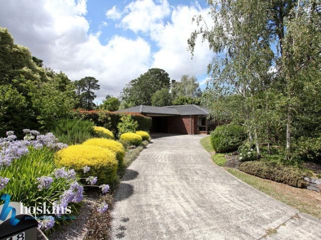 Spacious Family Home with Serviced Pool on Large Block