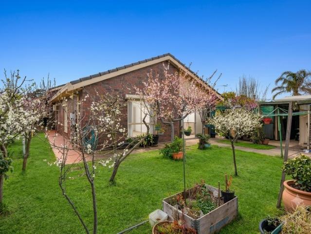 Spacious Family Home for Lease in the Heart of Hoppers Crossing