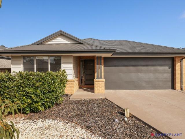 Spacious Family Home in a Family Friendly Seagrove Estate