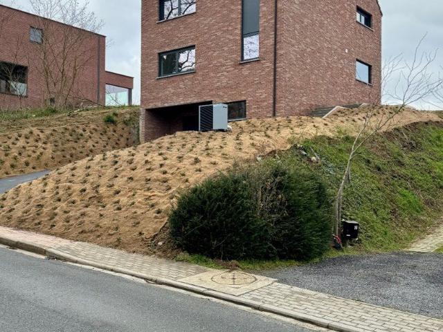 Spacious family home in a quiet area