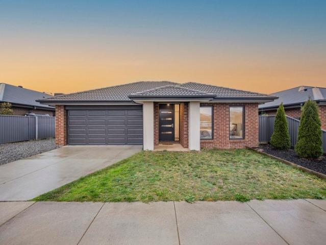 SPACIOUS FAMILY HOME IN ALFREDTON GROVE