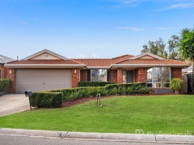 Spacious Family Home in Prime Sydenham Location!