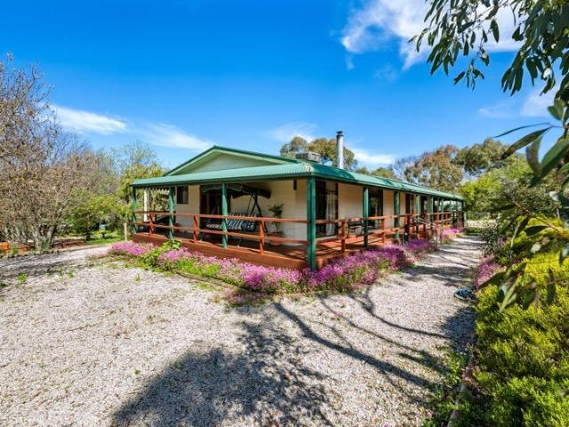 Spacious Family Home on 2,600sqm in the Heart of Auburn
