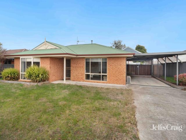 Spacious Family Home on a Generous Block in Quiet Court Location