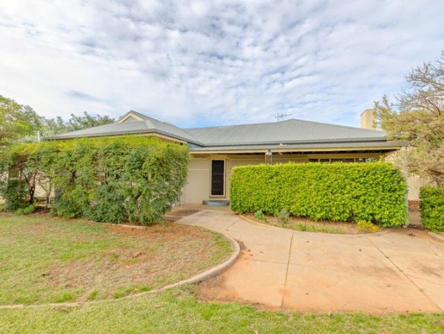 Spacious Family Home on a Generous Block with Powered Shed