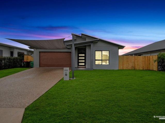 Spacious Family Living Meets Northern Beaches Ease