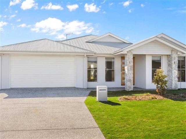 Spacious Family Living on a 410m2 Block in Beautiful Collingwood Park