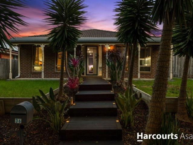 Spacious Family Living on a Corner Block in Berwick