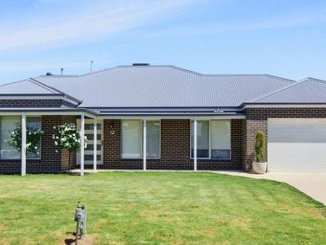 Spacious Family Living on a Generous 2,020m² Block plus Shed!