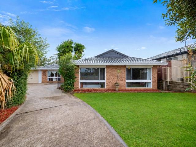 Spacious Family Living on a Generous 810m² Block