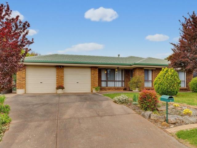Spacious Family Living On A Generous Corner Allotment