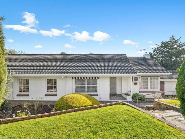 Spacious family living on a generous corner allotment