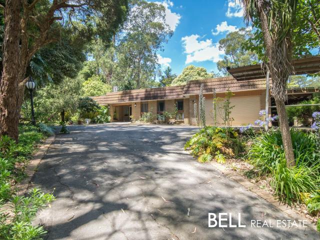 Spacious family living on a flat block, walking distance to Belgrave and Tecoma