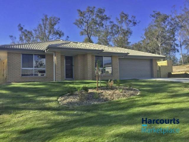 Spacious Family Living on a Huge 902m² Block