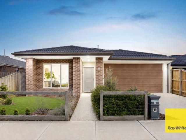 Spacious Family Living On A Large North Facing Allotment
