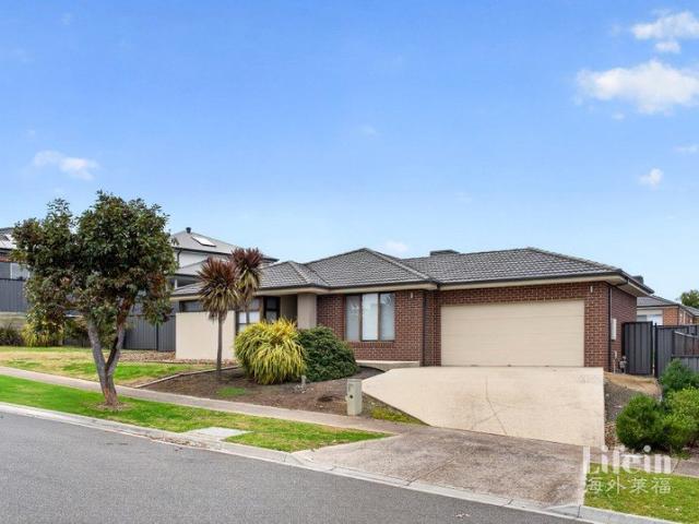 Spacious Family Living on a Rare Approx. 881 sqm North Facing Block