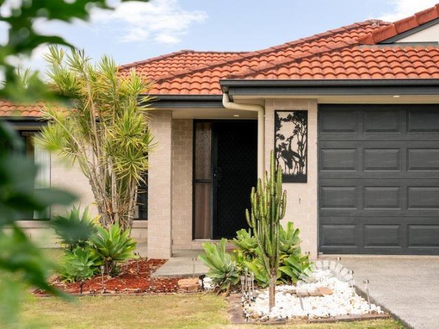 Spacious Family Living on an 856m2 Block
