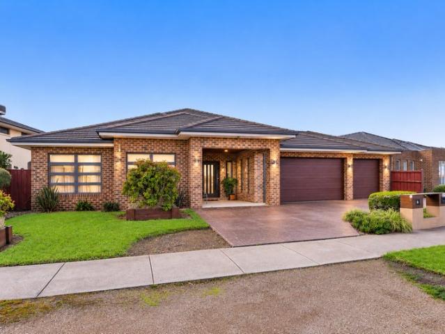 Spacious Family Living on Approx. 650sqm in a Prime Burnside Heights Position