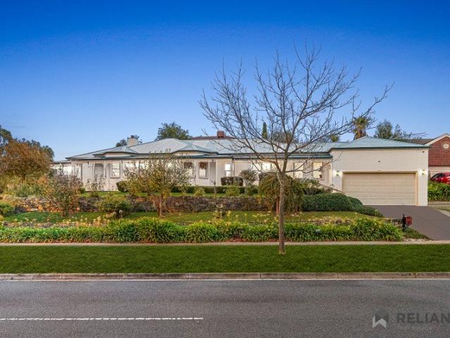 Spacious Family Living on 1016m² with Poolside Entertaining & Premium Comfort