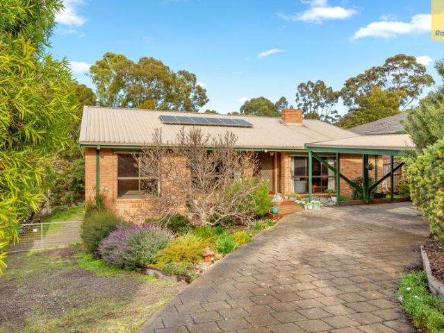 Spacious Family Living on 1,162m²