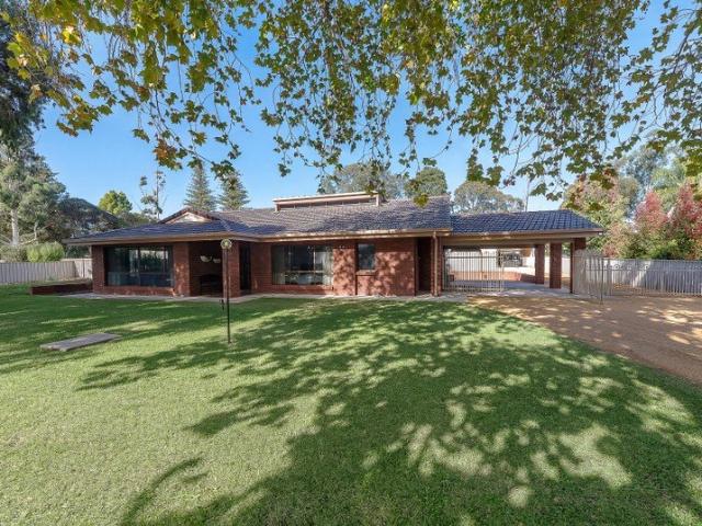 Spacious Family Living on 3,905m² with Extensive Shedding & Lifestyle Appeal