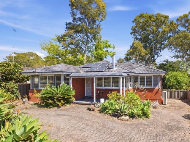 Spacious Family Living on 556sqm in a Convenient Campbelltown Setting
