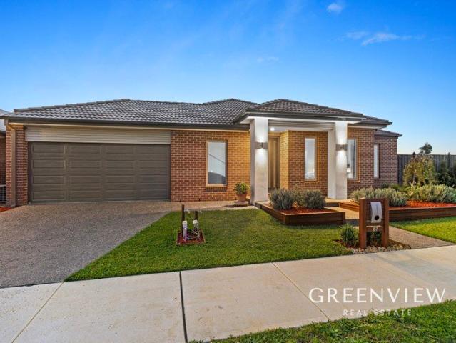 Spacious Family Living on 862sqm with Exceptional Outdoor Entertaining
