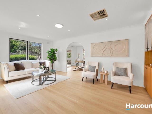 Spacious Family Living on 810sqm in Prized Dual School Zones