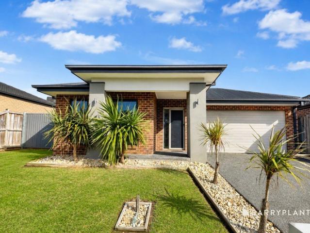 Spacious Family Living Opposite the Wetlands
