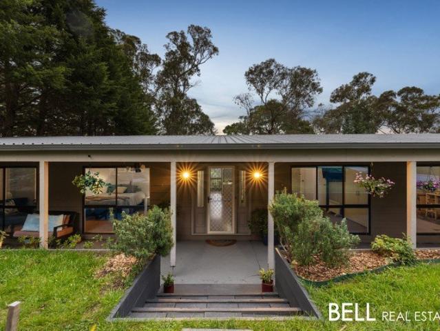 Spacious Family Living Amongst the Treetops
