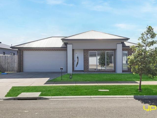 Hear the Waves, Live the Dream Flexible Family Living Near the Coast