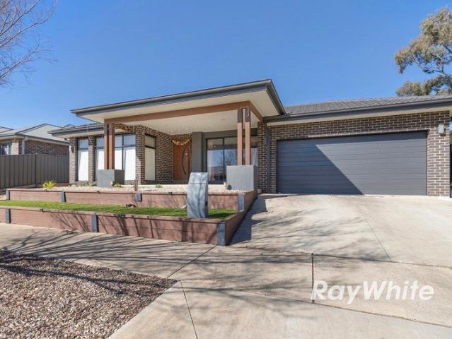 Spacious Family Living Designed to Impress